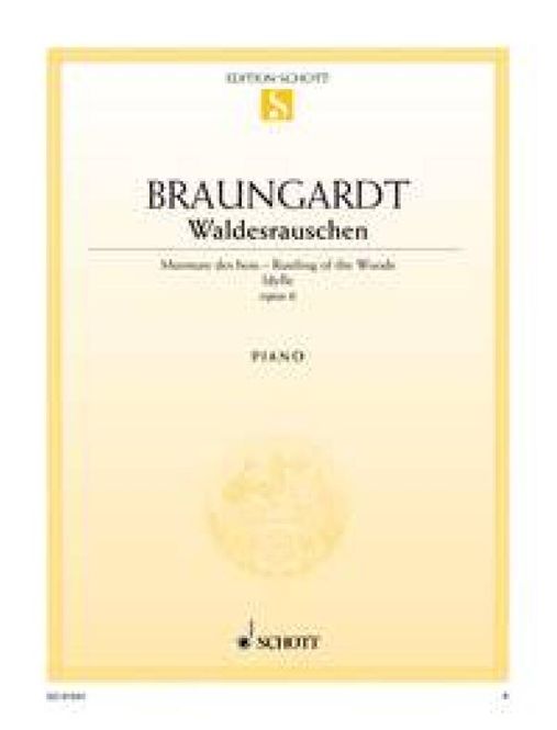 Hovedbilde Fridolin Braungardt - Waldesrauschen Opus 6