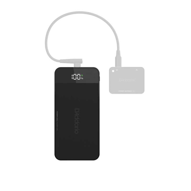D'Addario PW-XPNDPPC-01 XPND Backup Power Cell
