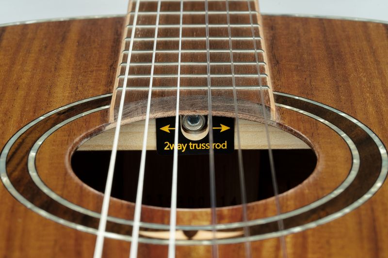 Ortega RE30TH-ACA Nylonstr. gitar m.mik, 30th Anniversary