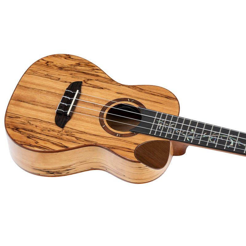 Ortega RUET-SMA Concert ukulele m.mik, o gigbag, Elite, Spalted Maple