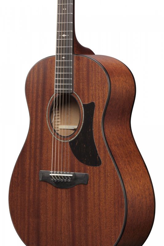 Ibanez AAM740E-LG Western gitar m.mik. & case, Advanced Auditorium