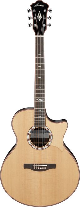 Hovedbilde Ibanez MRC10-NT Westerngitar m.mik & bag, Marcin ...