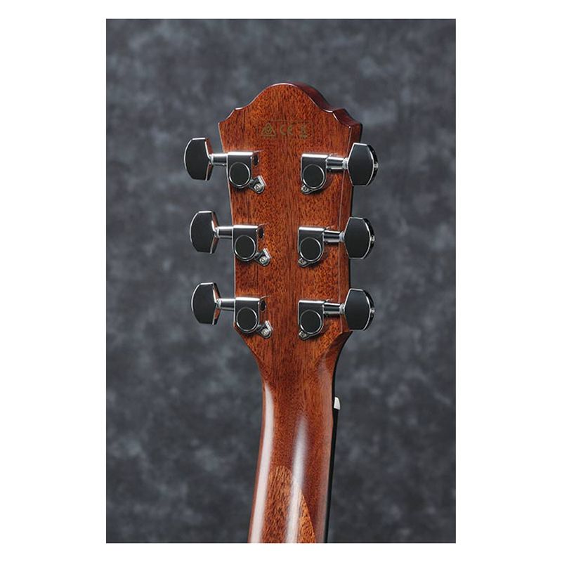 Ibanez AEG220-LGS Ibanez western m.mik