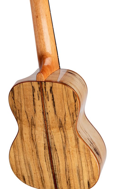 Ortega RUET-SMA Concert ukulele m.mik, o gigbag, Elite, Spalted Maple