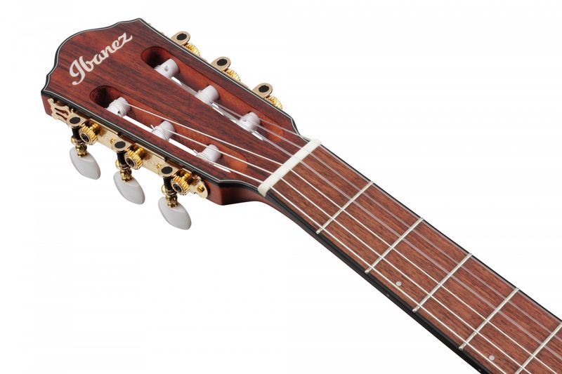 Ibanez FRH10N-IBF Nylonsträngad m.mik, Thin body