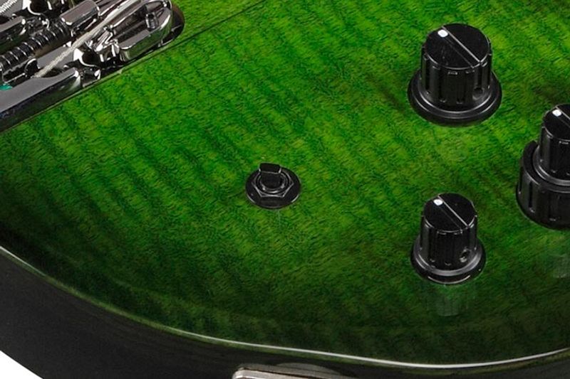 Ibanez SDGB1-DMT Elbas, Steve Di Giorgo Signatur (Testament) 5-str. Fretless