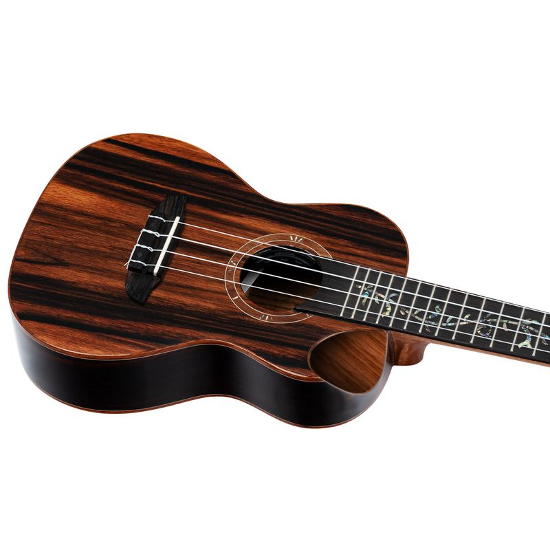 Ortega RUET-EB Concert ukulele m.mik, o gigbag, Elite, Ebony