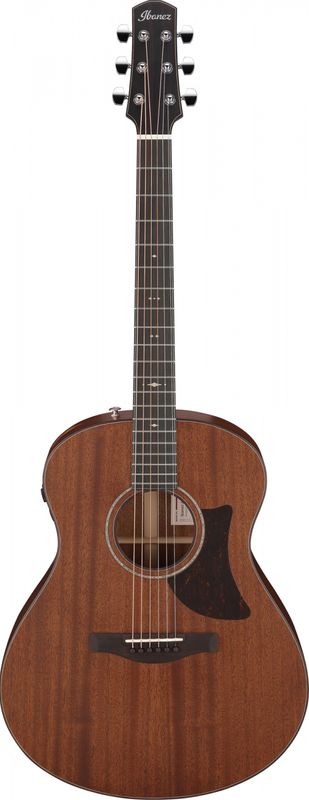 Ibanez AAM740E-LG Western gitar m.mik. & case, Advanced Auditorium