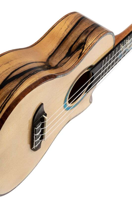 Ortega EAGLESUITE-U Concert ukulele med mik o gigbag, Eagle Suite