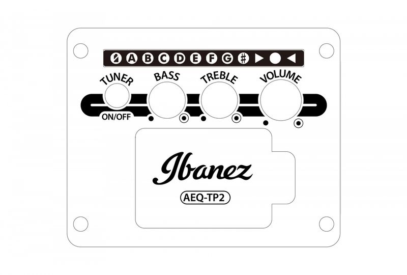 Ibanez AE100-DBF Western gitar m/mik, AE Performer