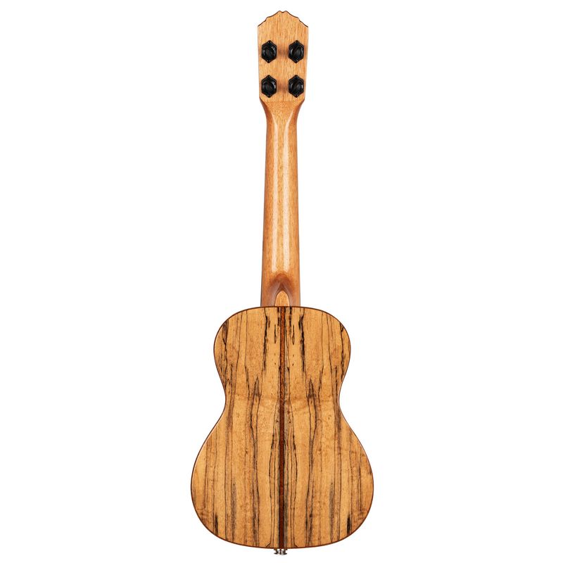 Ortega RUET-SMA Concert ukulele m.mik, o gigbag, Elite, Spalted Maple