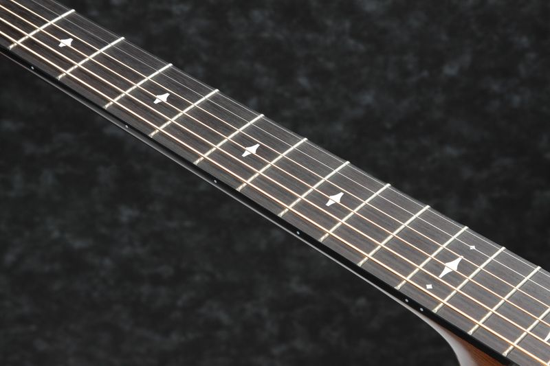 Ibanez AEG200-LGS Ibanez western m.mik