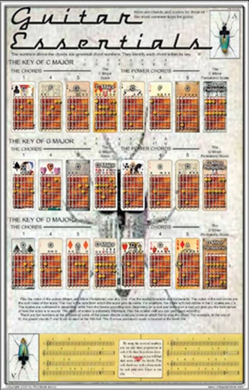 Poster - Guitar Essentials