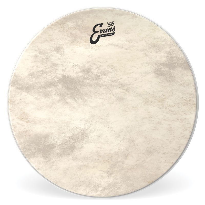 Evans TT16CT 16'' Bastrumskinn Calftone, Tom Hoop