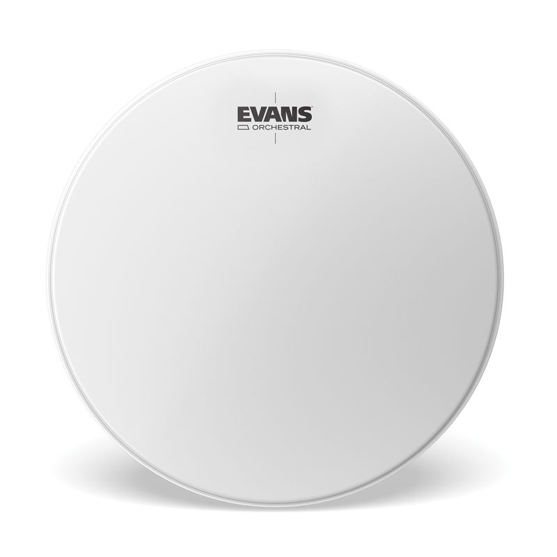 Evans ET22 Timpani Head 22''