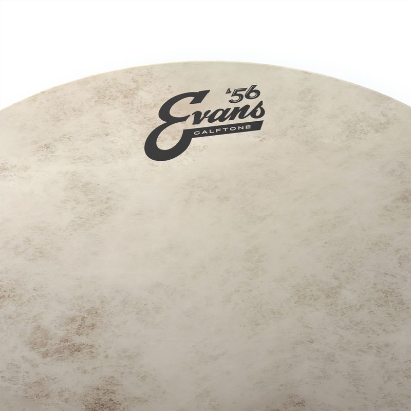 Evans TT10C7 10'' Pukskinn Calftone