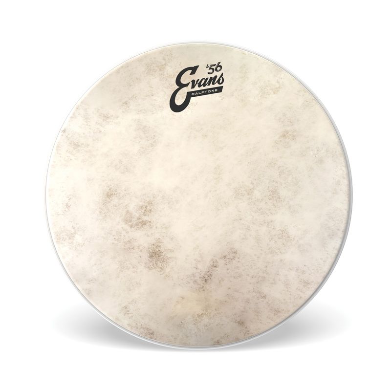 Evans TT10C7 10'' Pukskinn Calftone
