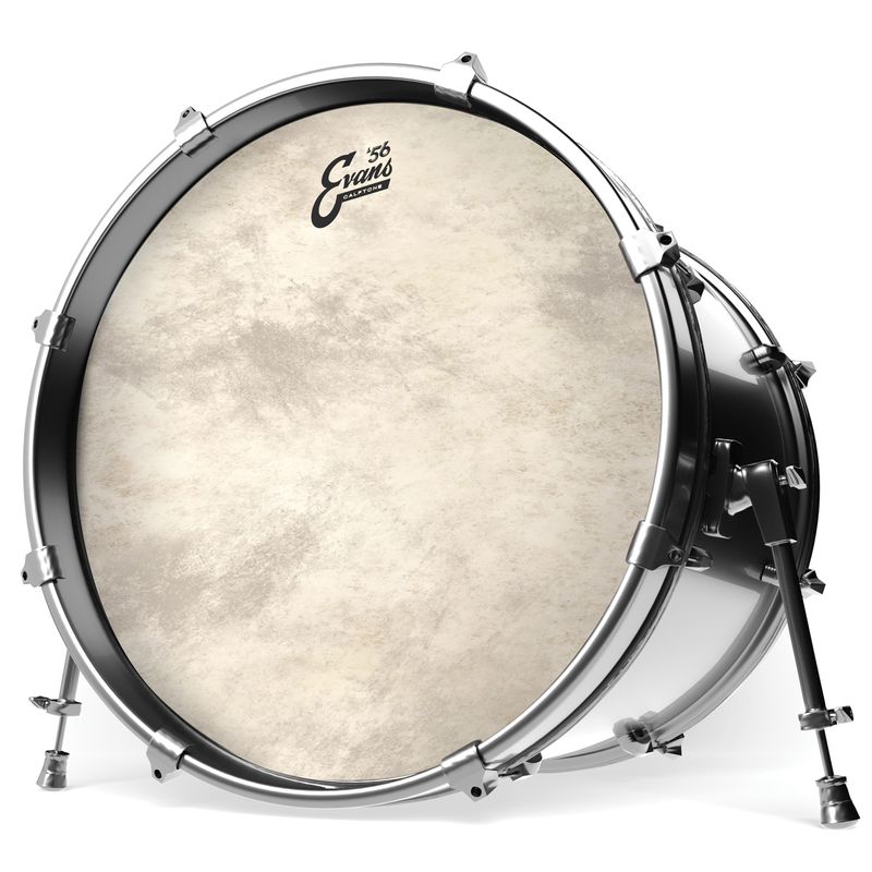 Evans BD16CT 16'' Bastrumskinn Calftone