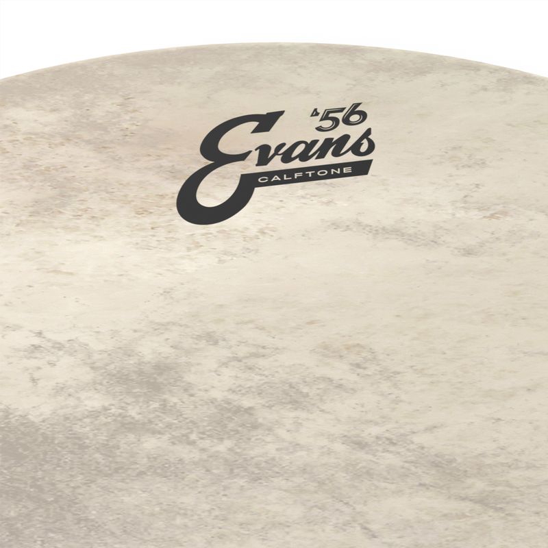 Evans BD22CT 22'' Bastrumskinn Calftone