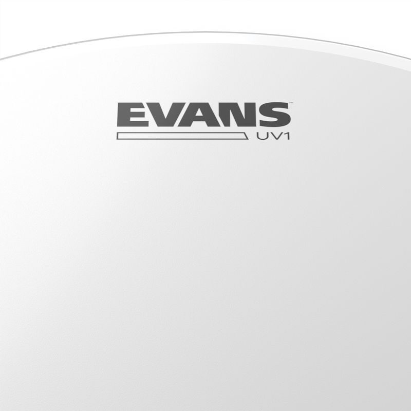 Evans BD24UV1 24'' Bastrumskinn UV1 Batter Coated