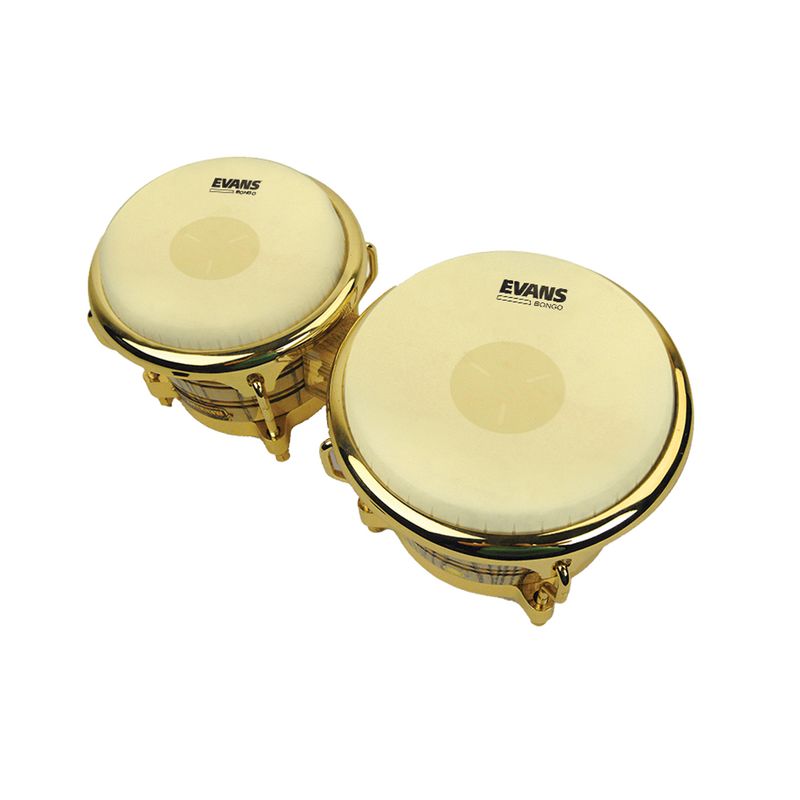 Evans EB09 Bongo Skinn