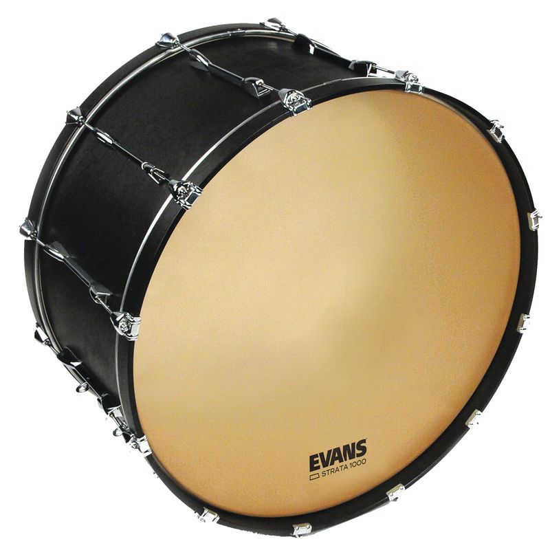 Evans CB4010S Strata 1000 Concert Bass 40''