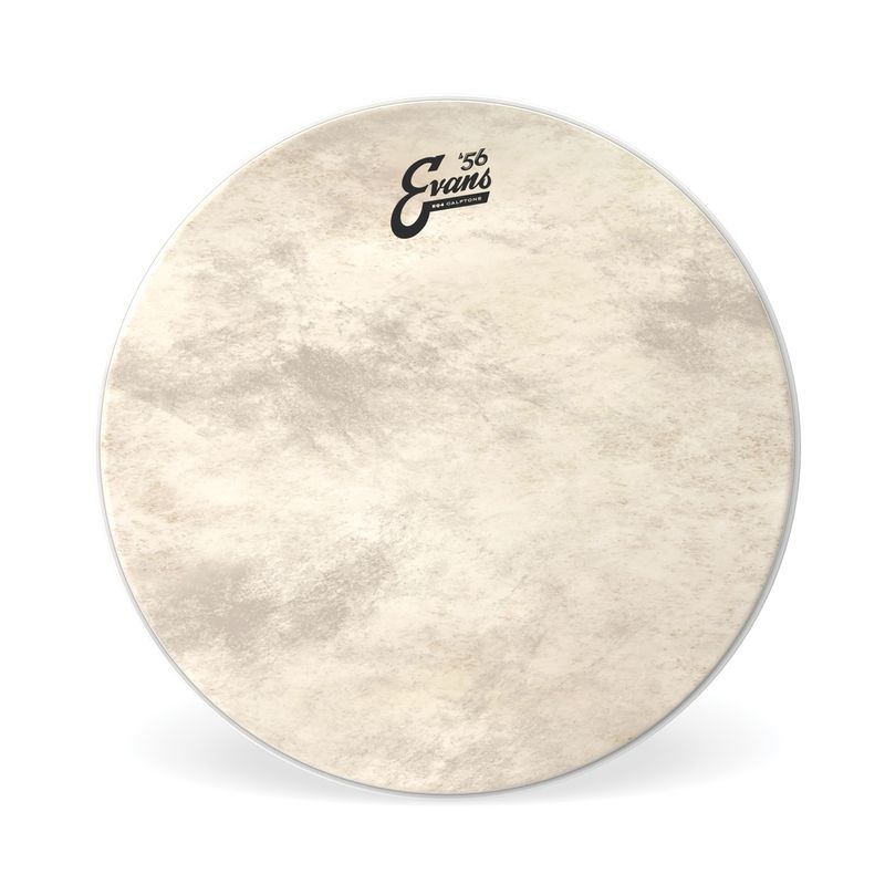 Evans BD22GB4CT 22'' Bastrumskinn EQ4 Calftone
