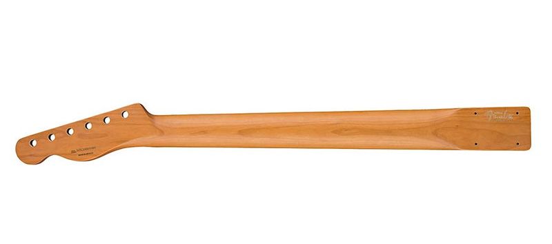Fender GRP Vintera roasted maple 60's Tele neck, 21 medium ju