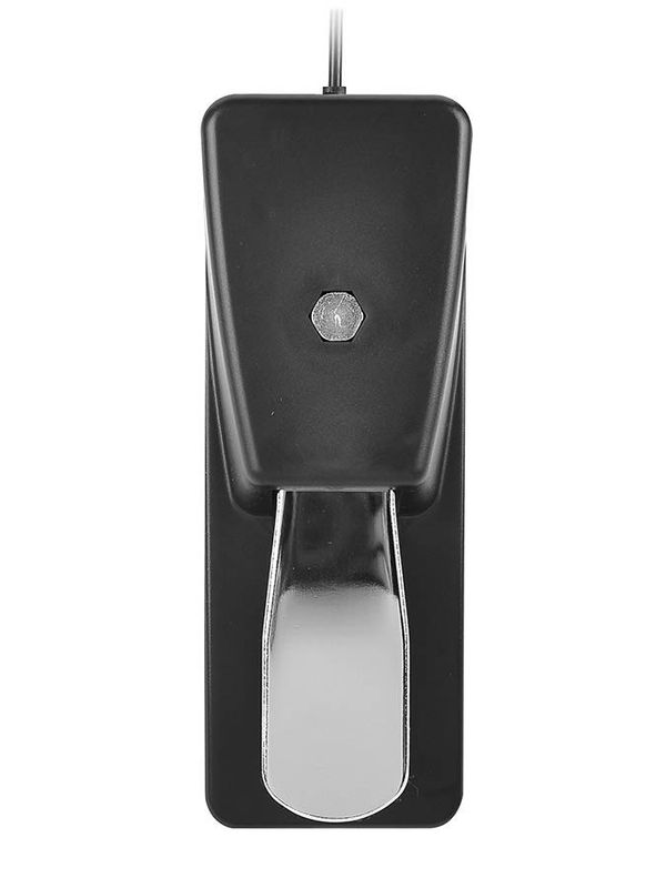 Boston GFS-25 Sustain Pedal