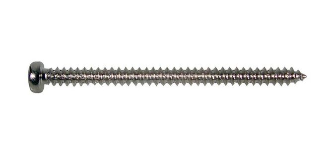 Hovedbilde Boston PS-12-N Pickup Screw 2,6 x 35 mm - Nickel (12-p)