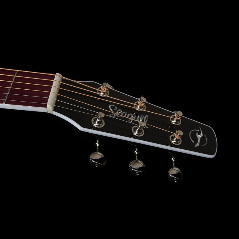 Seagull Artist Deluxe LTD Tuxedo Black Anthem Guitar