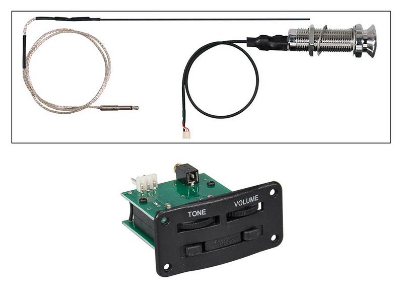 Shadow SH-JW2-G Nanoflex onboard preamp with NFX piezo