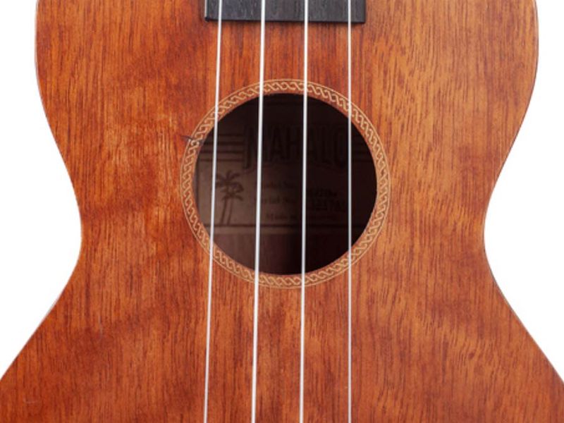 Mahalo Java Series, concert ukulele pack, transparent brown, with essentials accessory pack