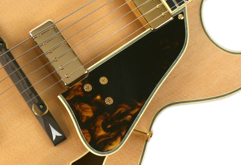 Ibanez 4PG1GB10 Plektrumskydd GB10 Tortoise shell