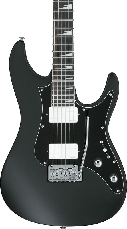 Ibanez BER10 Elgitar med gigbag,  Bernth Signatur