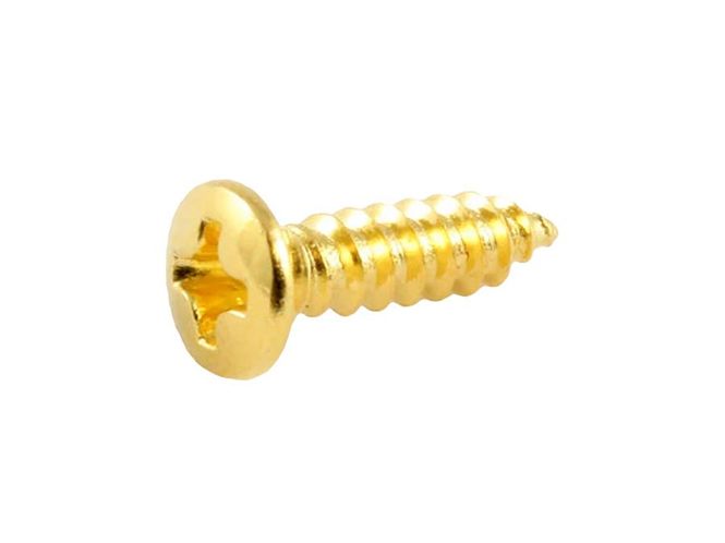 Hovedbilde Allparts Bulk Pack of Pickguard Screws Gold 100-p
