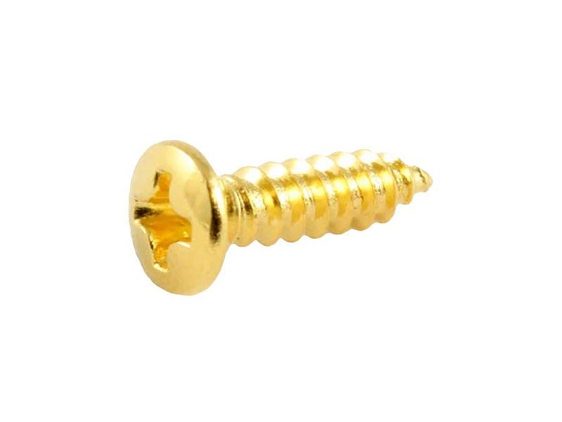 Allparts Bulk Pack of Pickguard Screws Gold 100-p
