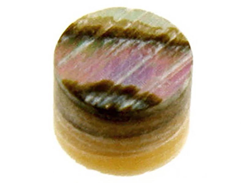 Allparts small abalone side dot inlays, 12 pcs.