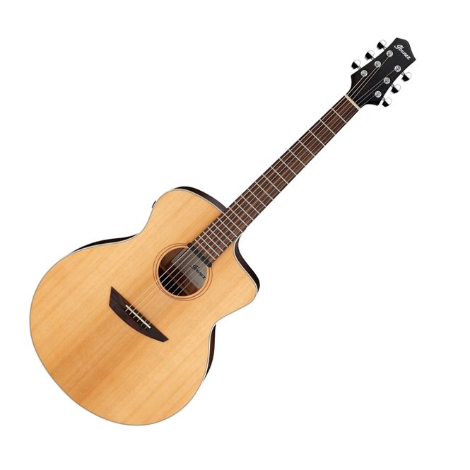 Hovedbilde Ibanez PA230E-NSL