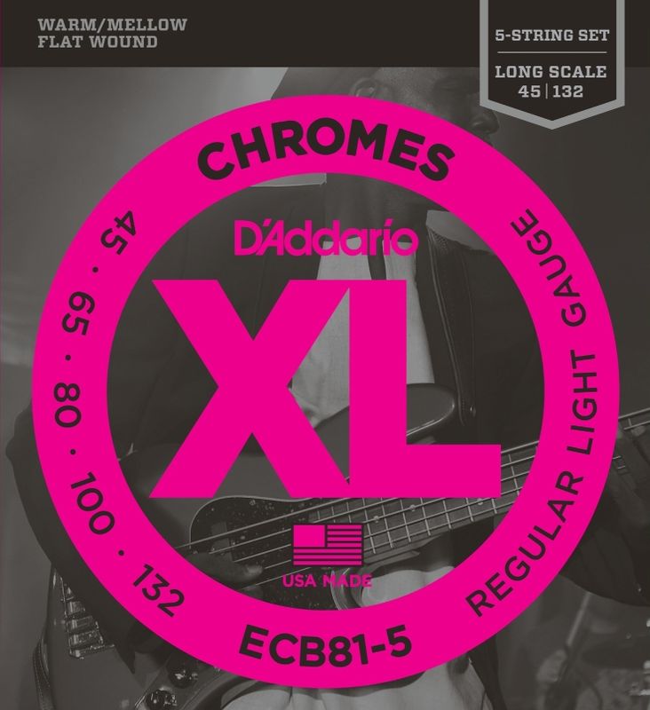 Daddario Chromes Flat Wound ECB81-5