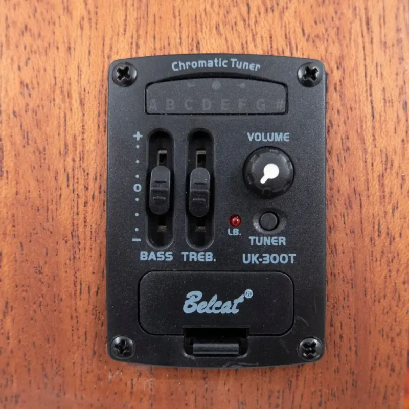 Santana U6 BS bass-ukulele  