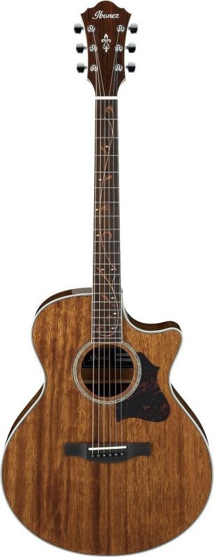 Ibanez AE245 Natur