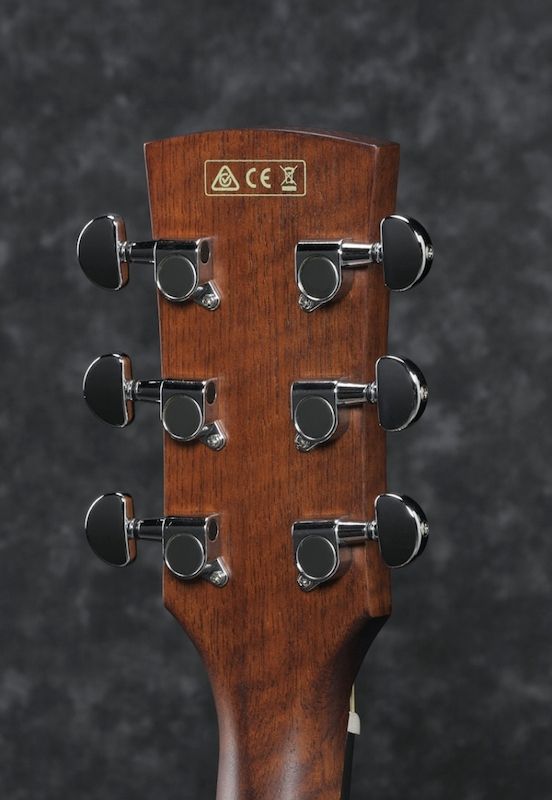Ibanez PF10CE-OPN