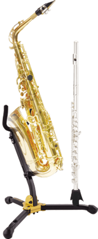 Hercules Saxophone and Flute / Clarinet Stand DS532BB