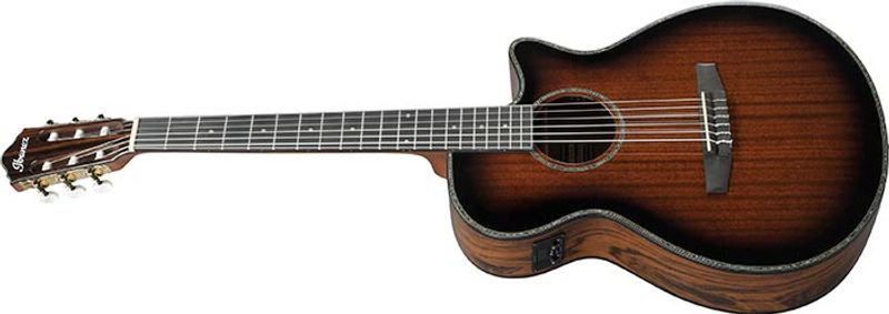 Ibanez AEG74N-MHS Klassisk gitar